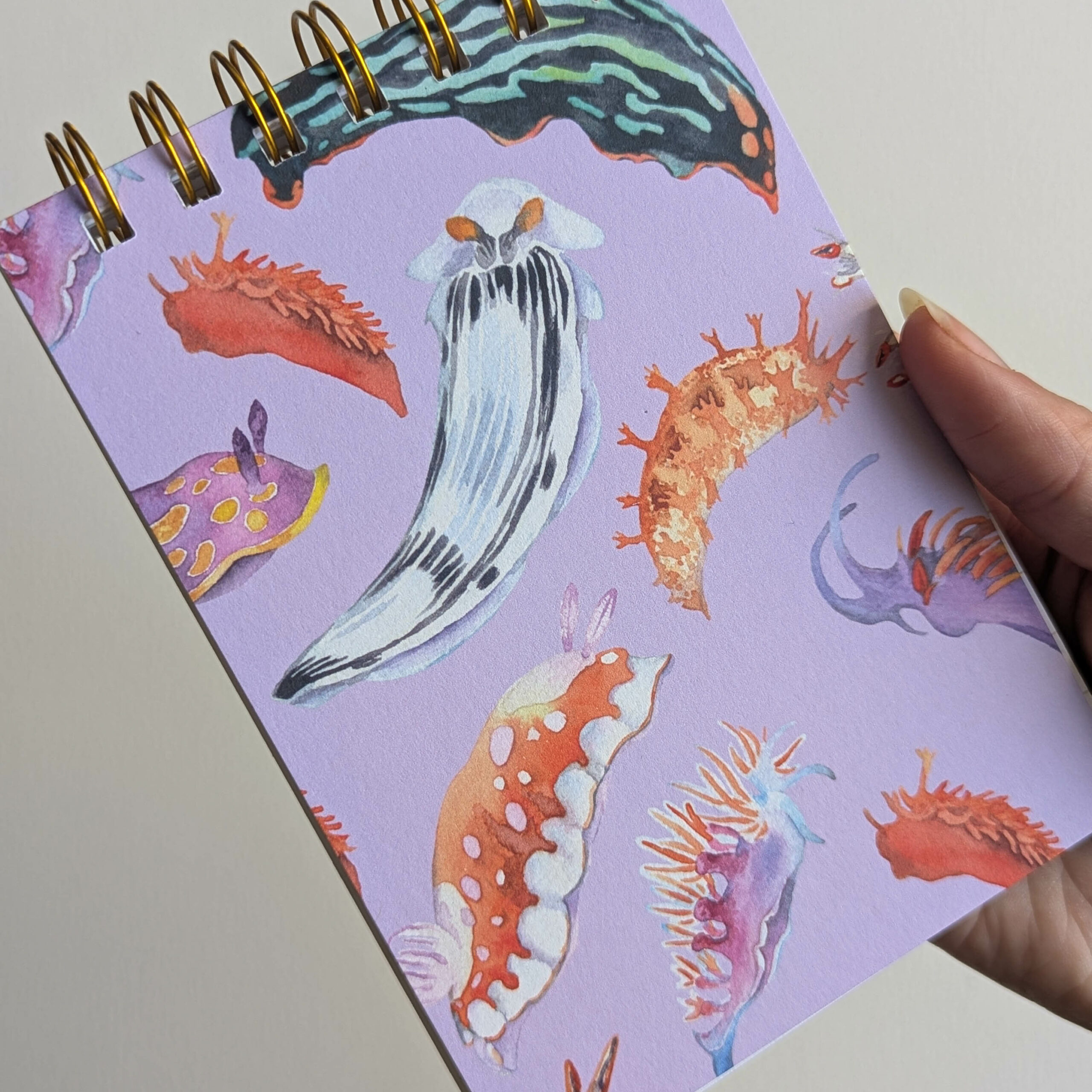 PXL_20251012_131655123 PXL_20251012_131655123