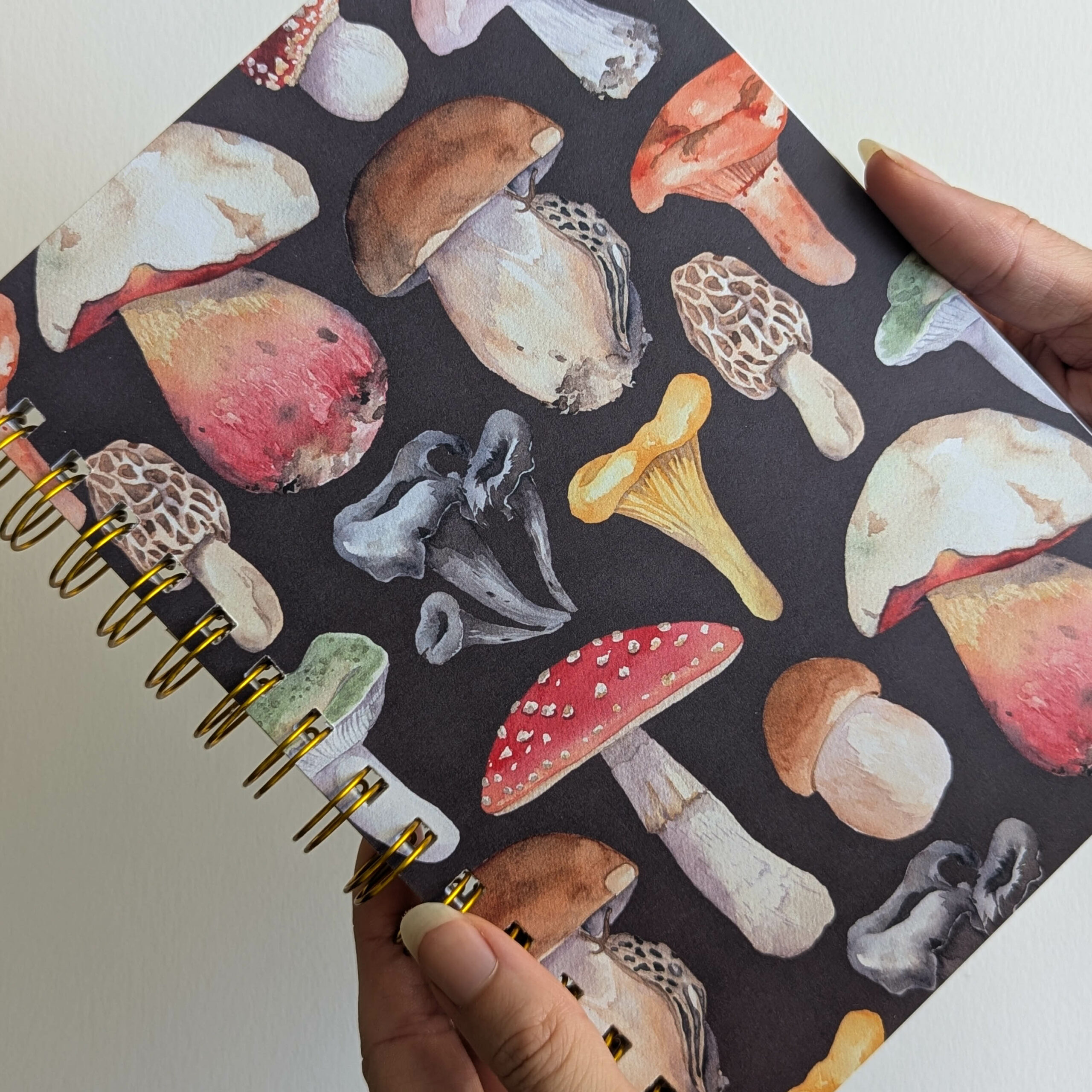 PXL_20251012_132027967 PXL_20251012_132027967