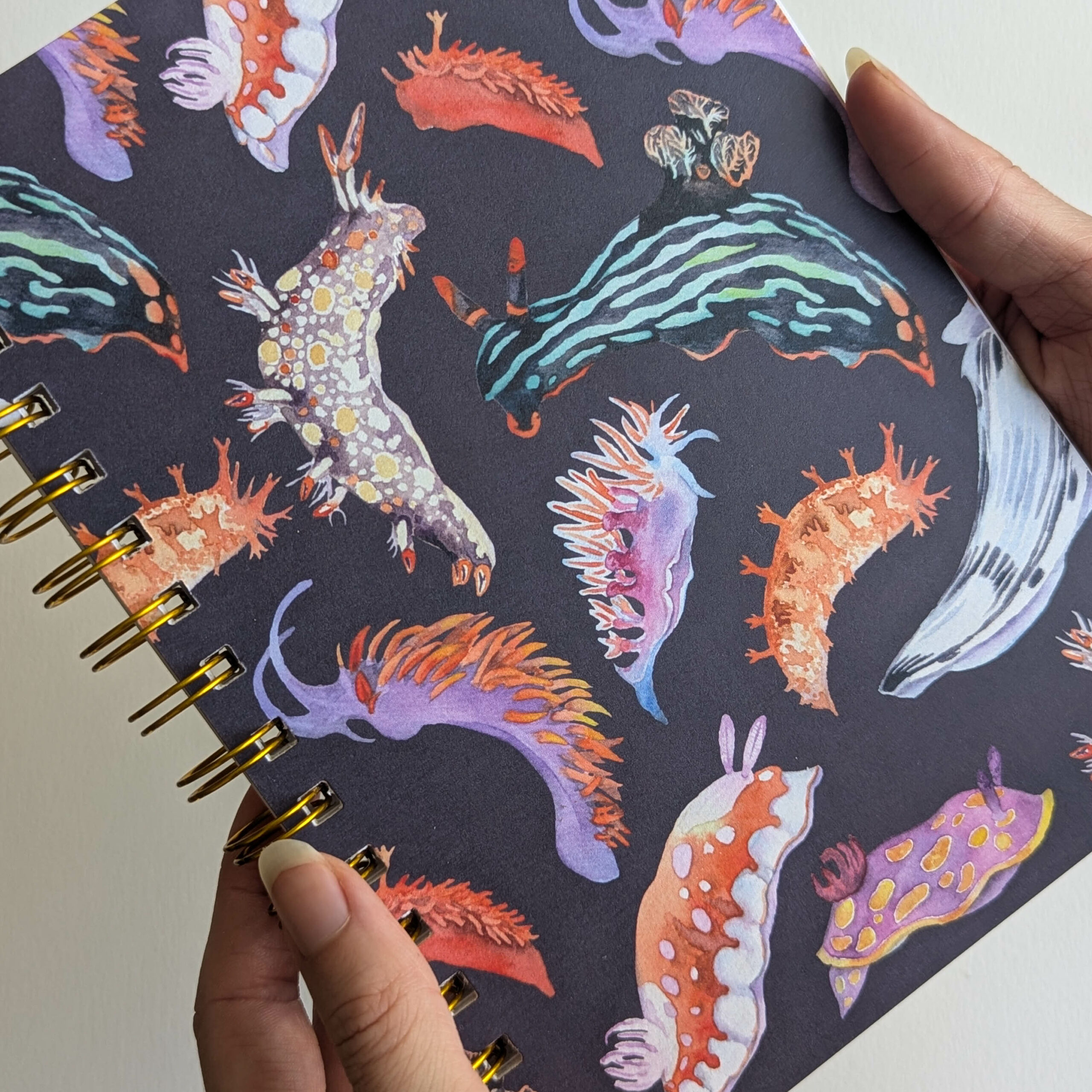 PXL_20251012_132041369 PXL_20251012_132041369