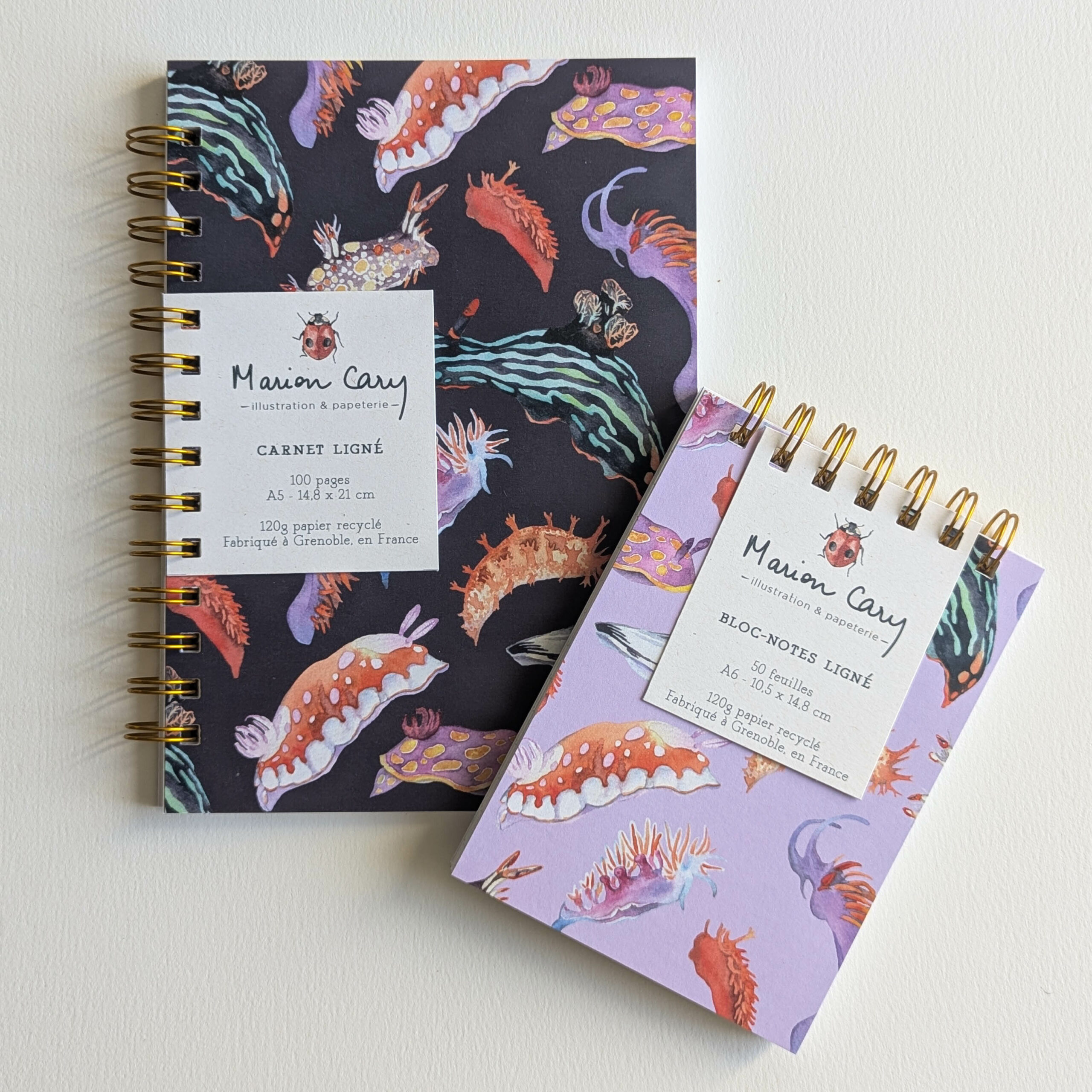 PXL_20251012_132833734 PXL_20251012_132833734