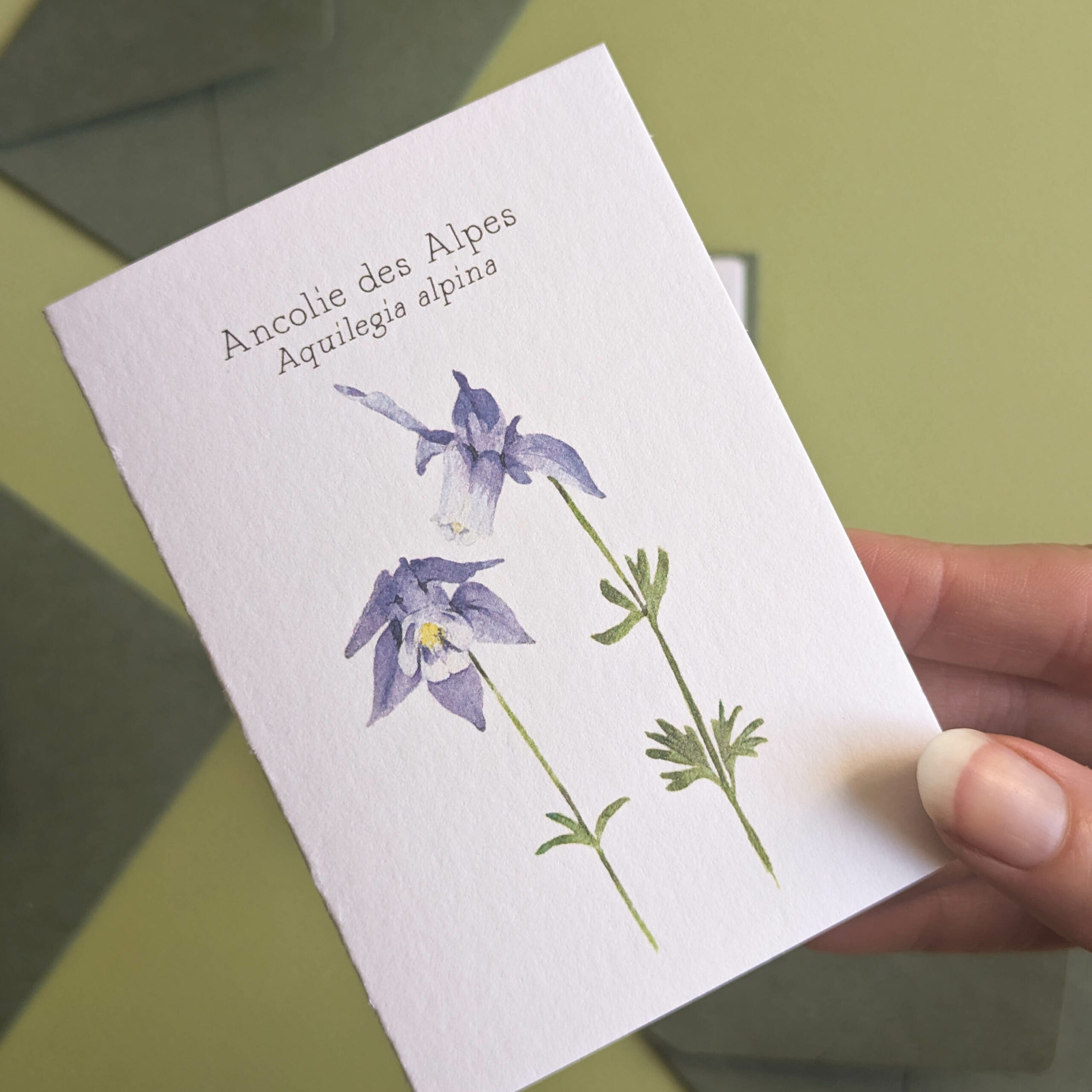 PXL_20251012_133912965 PXL_20251012_133912965