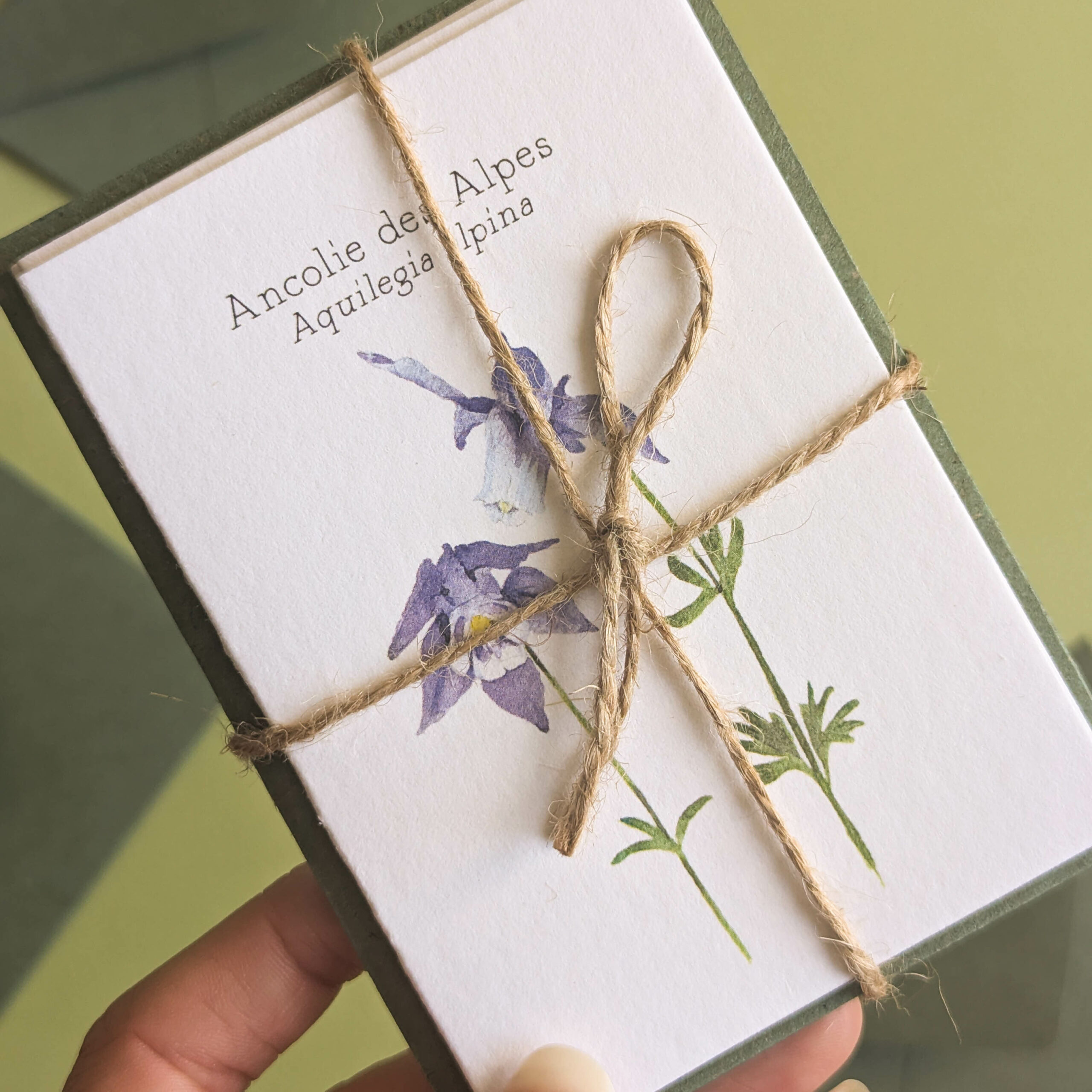 PXL_20251012_133930239 PXL_20251012_133930239