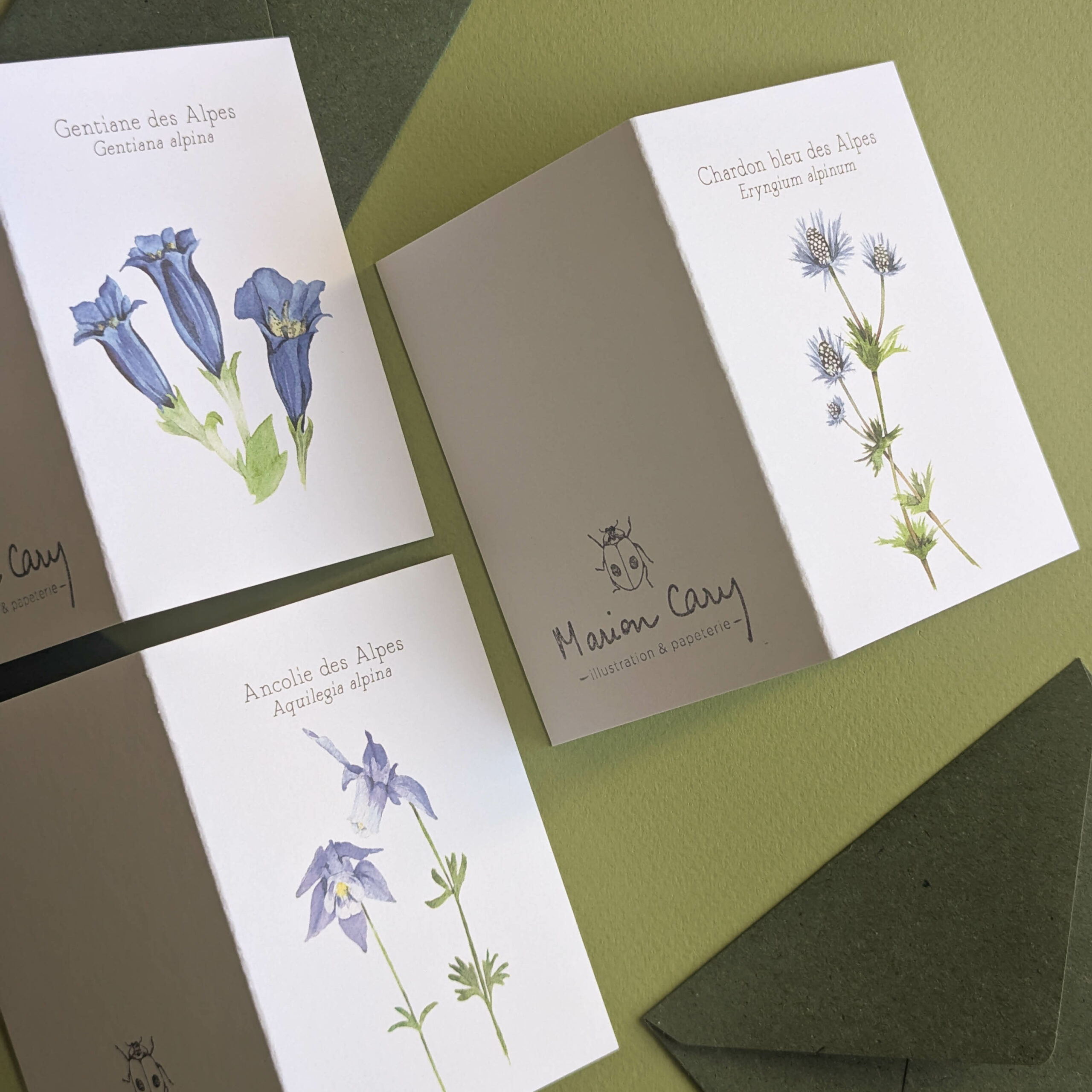 PXL_20251012_133954387 PXL_20251012_133954387