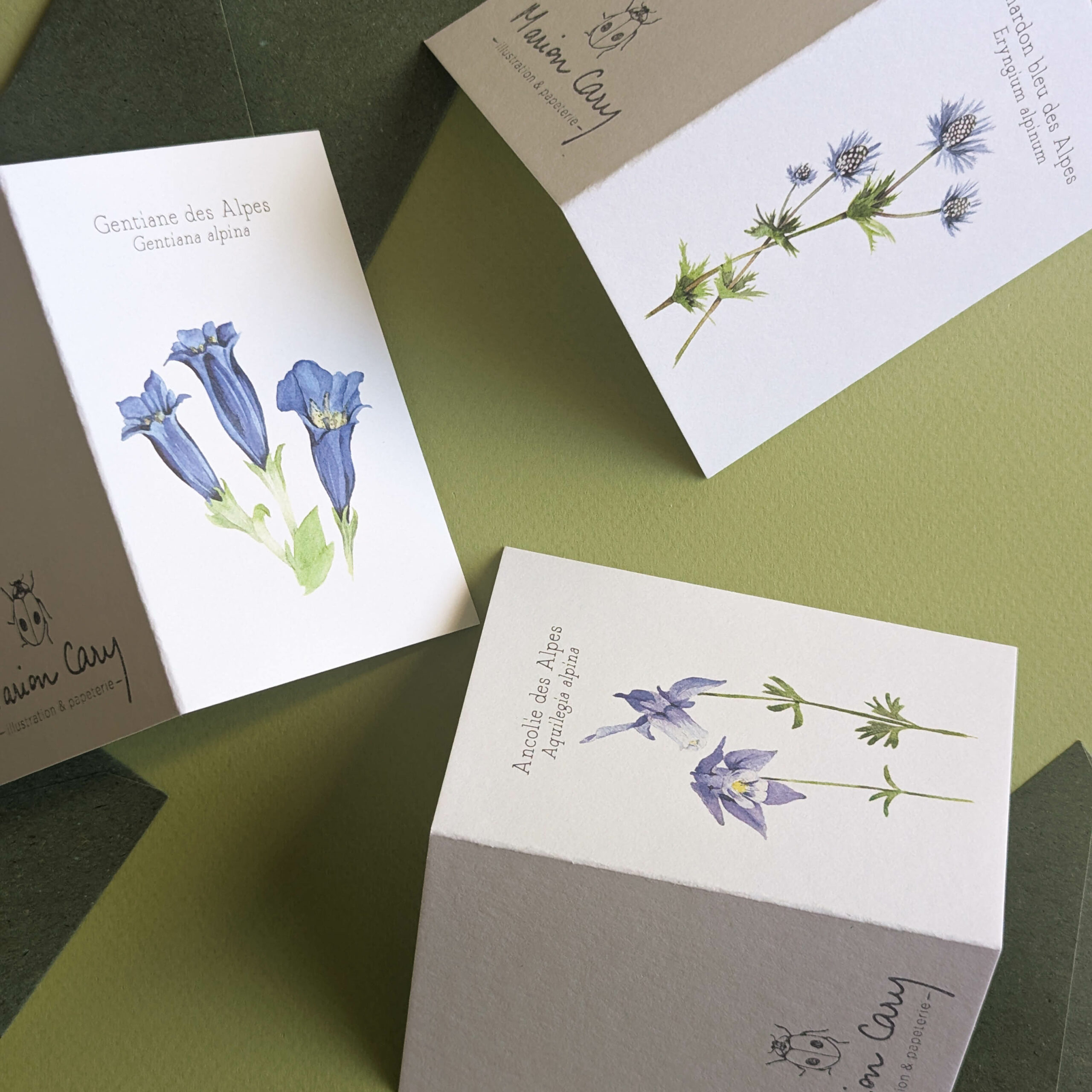 PXL_20251012_134007383 PXL_20251012_134007383