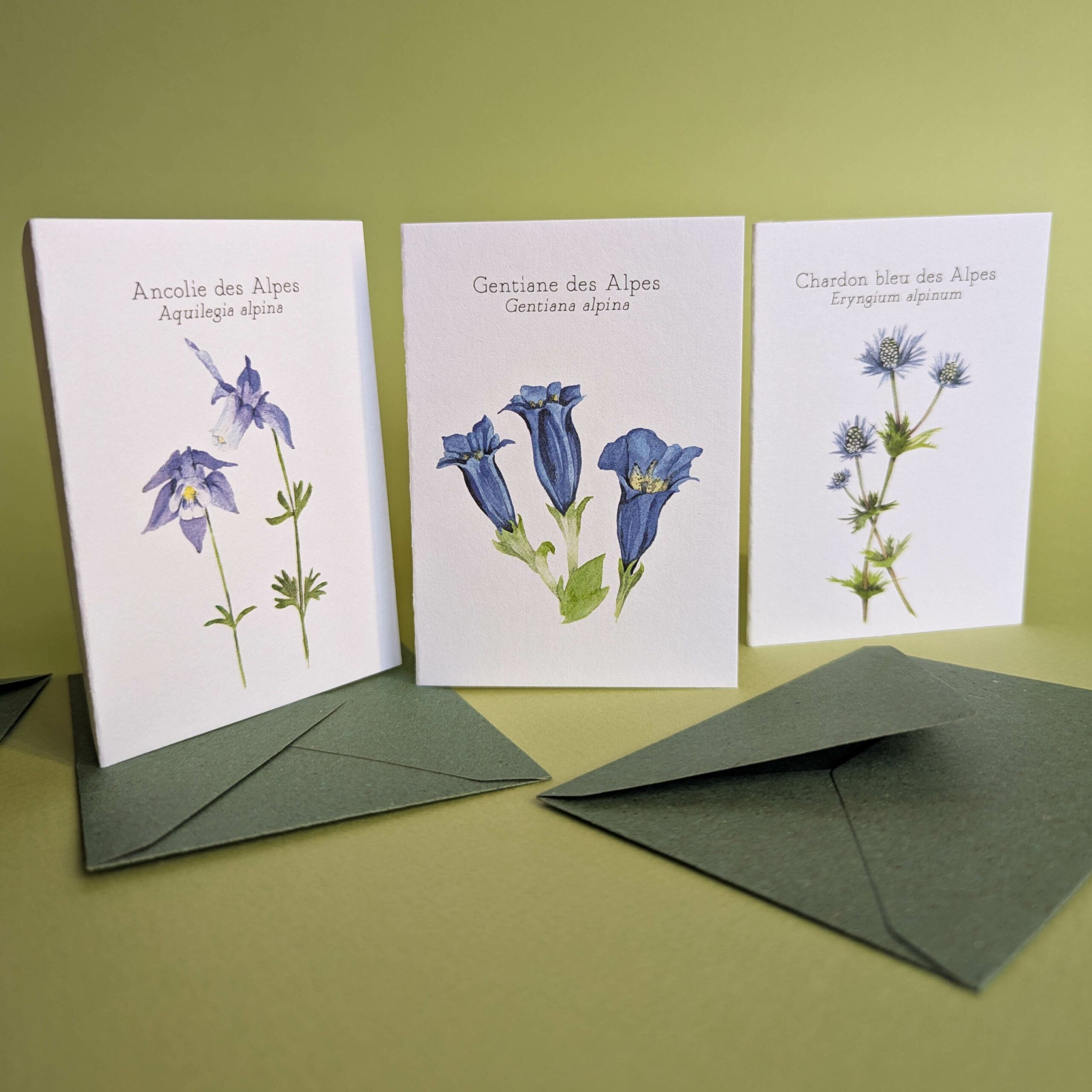 PXL_20251012_134344599 PXL_20251012_134344599