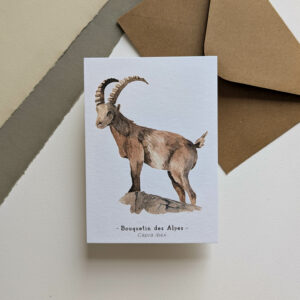 Bouquetin des Alpes - Carte et enveloppe