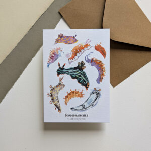 nudibranches - Carte et enveloppe