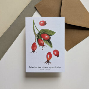cynorrhodon - Carte et enveloppe