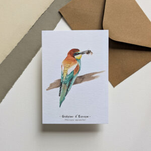 Guêpier d'Europe - Carte et enveloppe